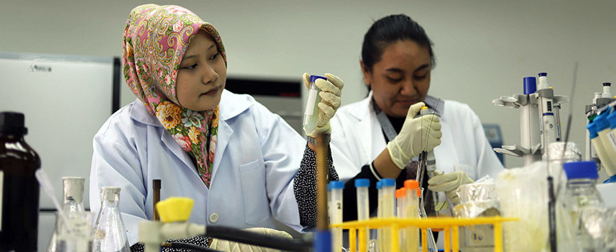 Bachelor of Biotechnology (Hons)
