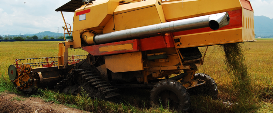Diploma in Agricultural Science (Plantation Management)